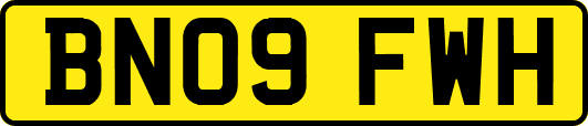 BN09FWH