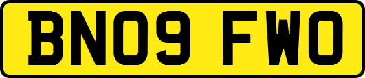 BN09FWO