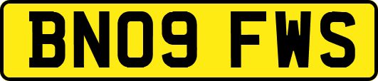 BN09FWS