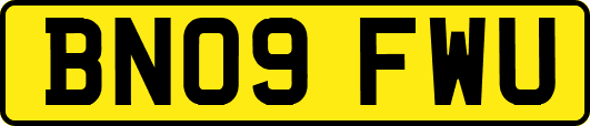 BN09FWU