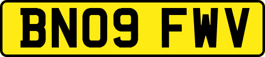 BN09FWV