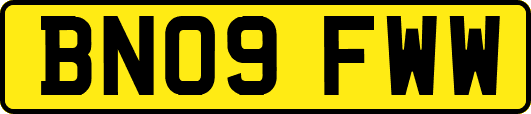 BN09FWW