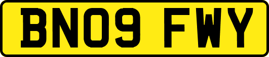 BN09FWY