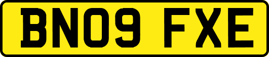 BN09FXE