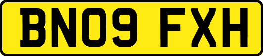BN09FXH