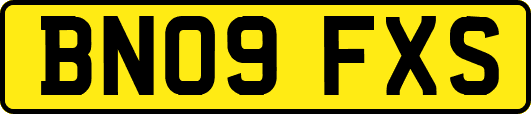 BN09FXS