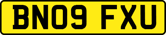 BN09FXU