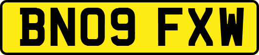BN09FXW
