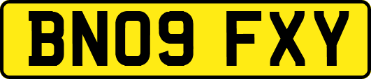 BN09FXY