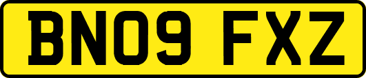 BN09FXZ