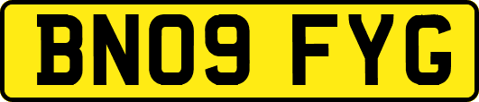 BN09FYG
