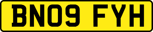 BN09FYH