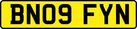 BN09FYN
