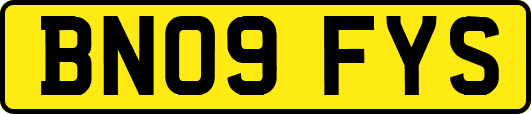 BN09FYS