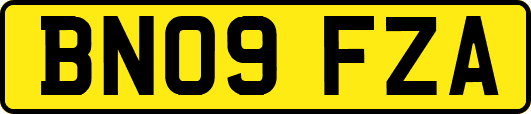 BN09FZA