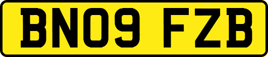 BN09FZB