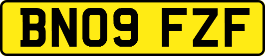 BN09FZF