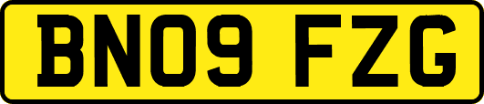 BN09FZG