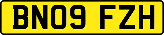 BN09FZH