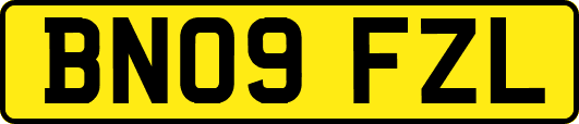 BN09FZL