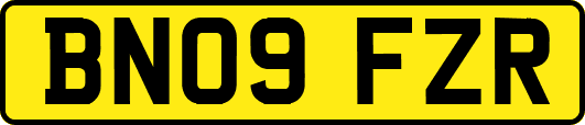 BN09FZR