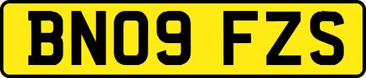 BN09FZS