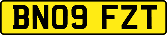 BN09FZT