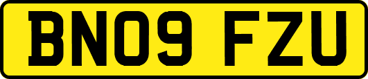 BN09FZU