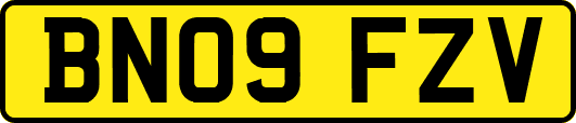 BN09FZV