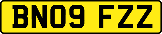 BN09FZZ