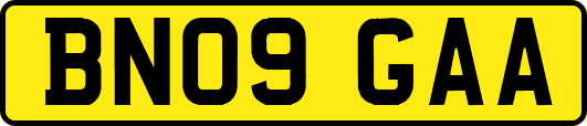 BN09GAA