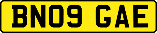 BN09GAE