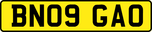 BN09GAO