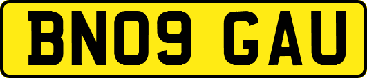 BN09GAU