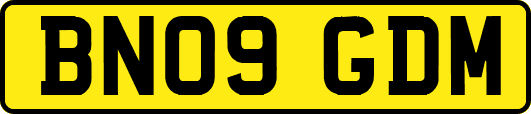 BN09GDM