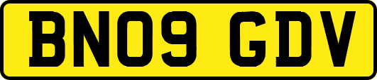 BN09GDV