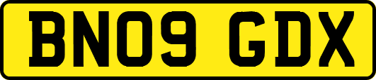 BN09GDX