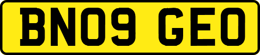 BN09GEO