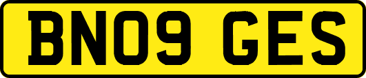 BN09GES