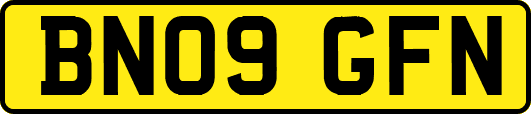 BN09GFN