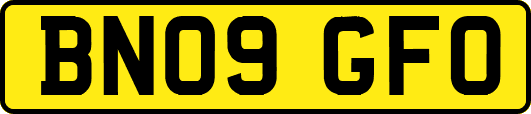 BN09GFO