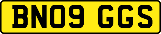BN09GGS