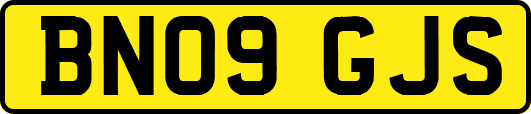 BN09GJS