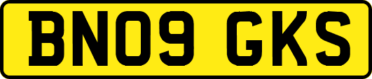 BN09GKS