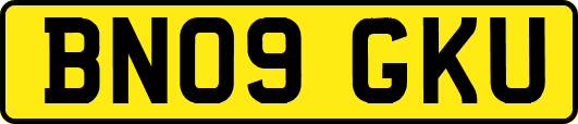 BN09GKU