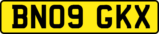 BN09GKX