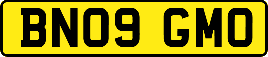 BN09GMO