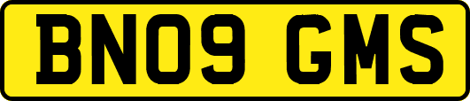 BN09GMS