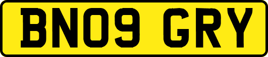 BN09GRY