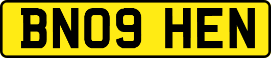 BN09HEN